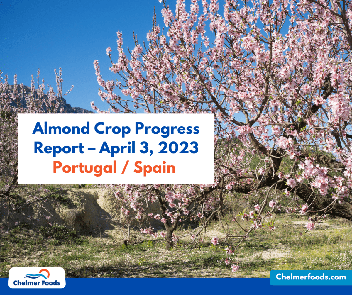 Spanish / Portuguese Almond Crop Progress Report – April 3, 2023