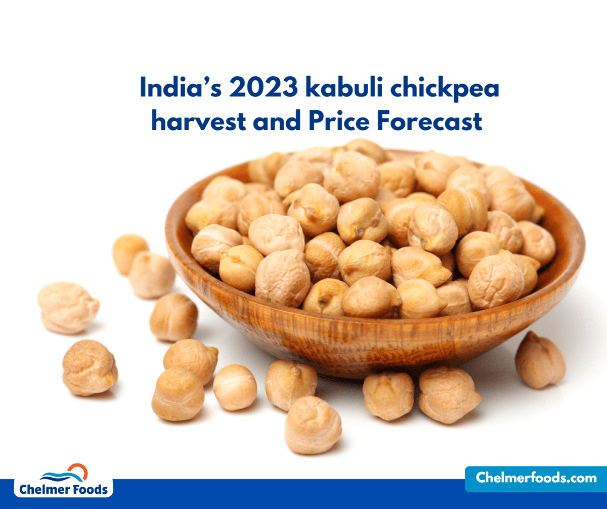 India’s 2023 kabuli chickpea harvest and Price Forecast