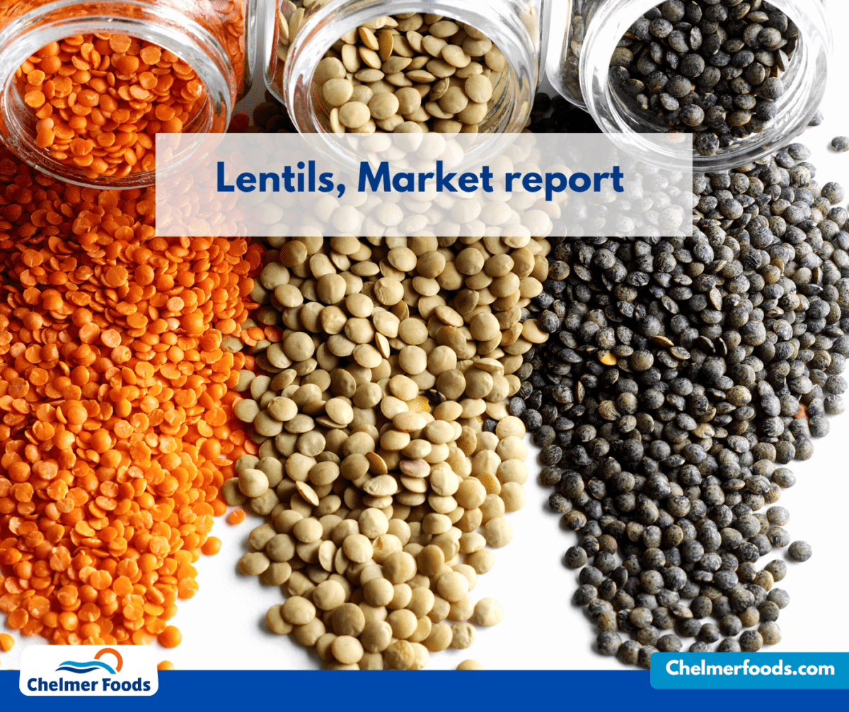 Lentils, Market report, Chelmer Foods. 04.05.2023