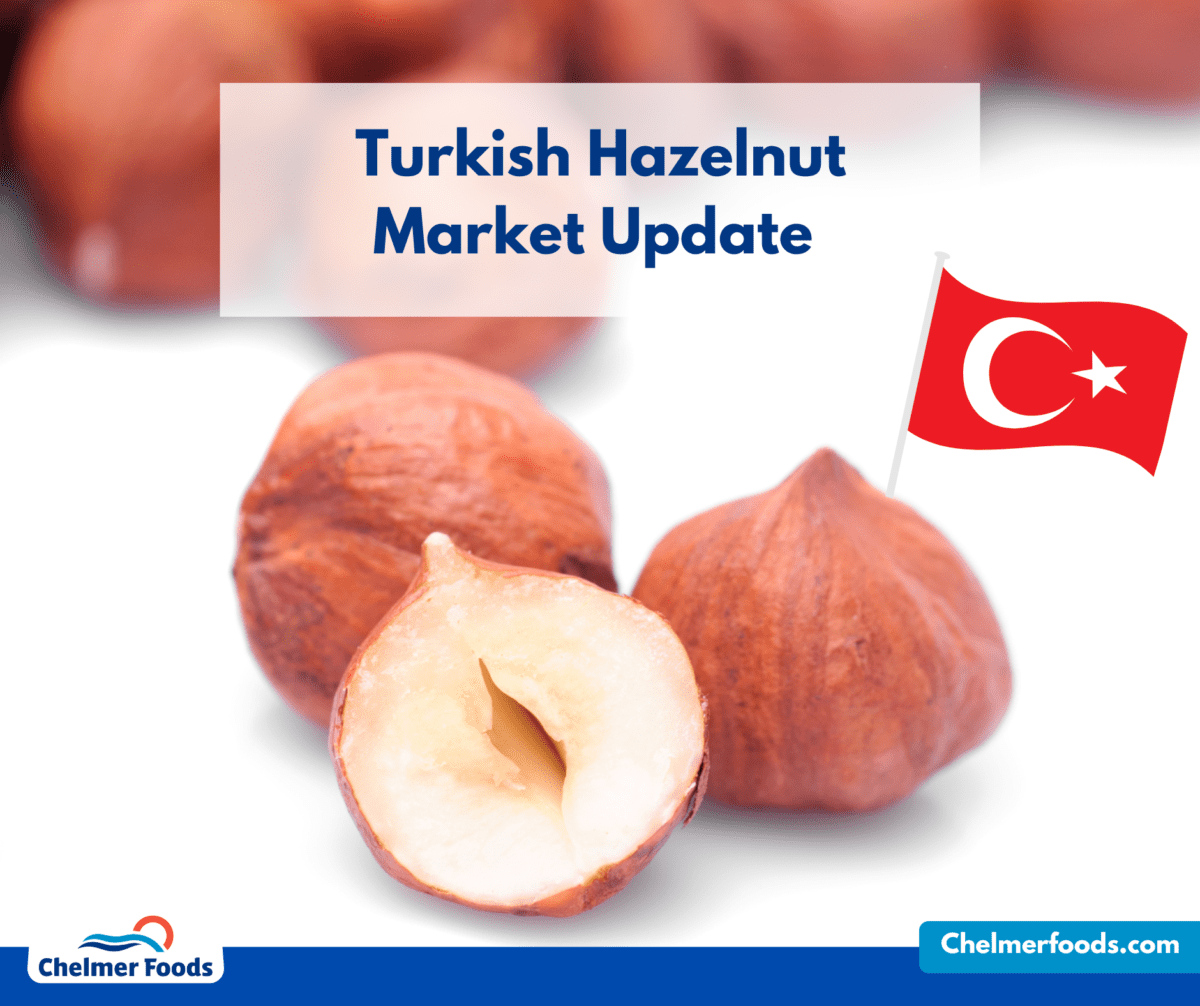 Turkish Hazelnuts, Market Update May 2023