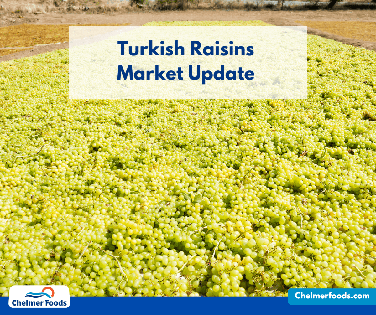 Turkish Raisins, Market update 10.05.2023