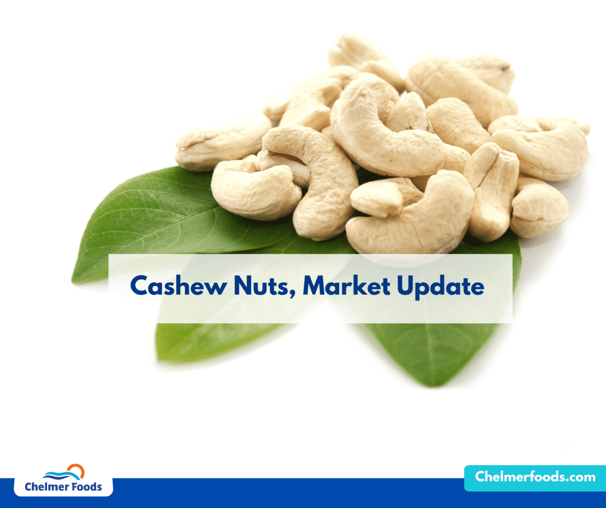 Cashew Market Report, 26.06.2023
