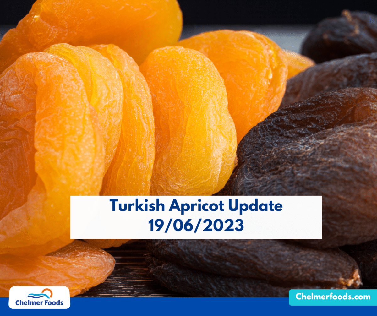 Turkish Apricot Market Update 19/06/2023