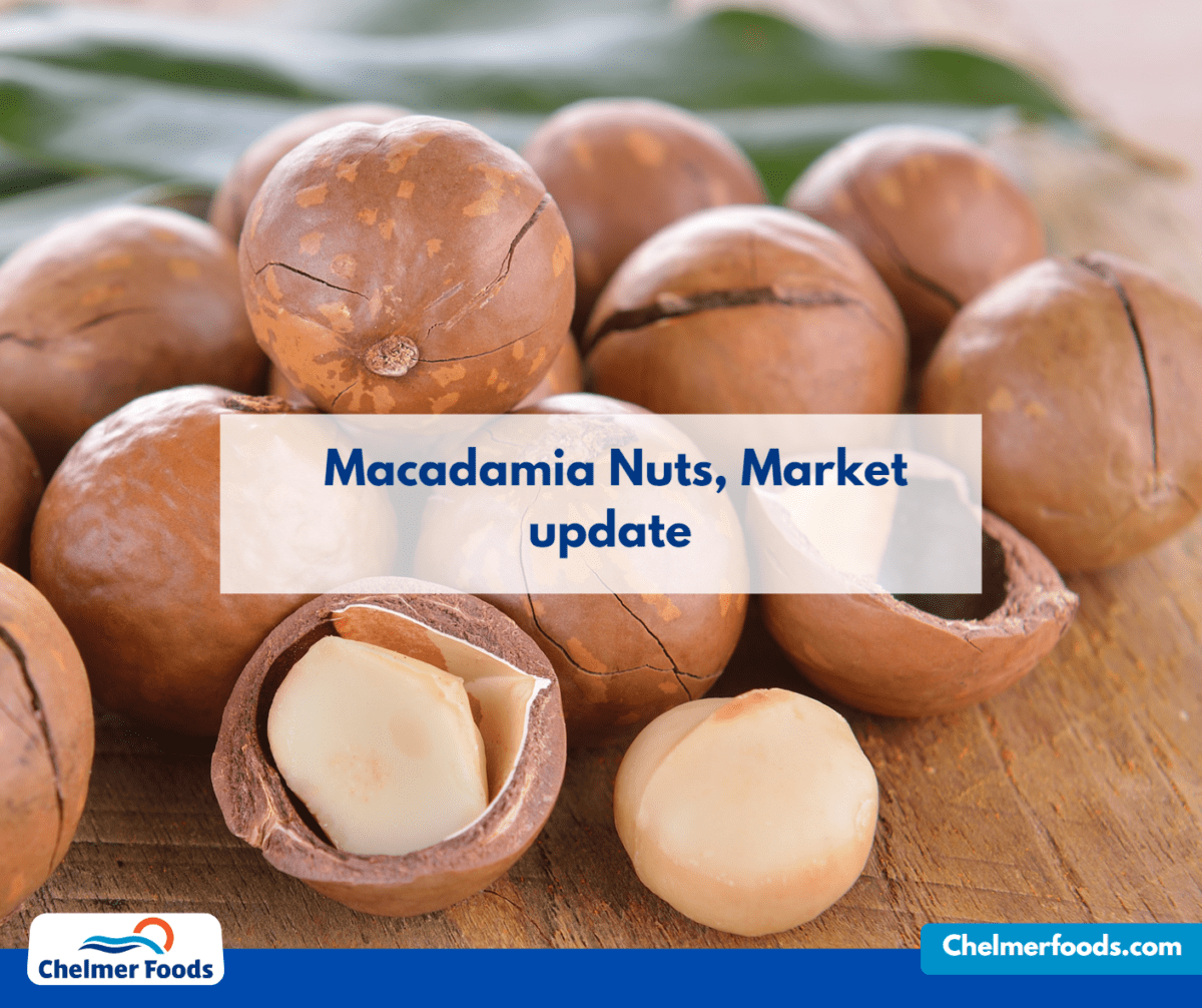 Macadamia Nuts, Market update