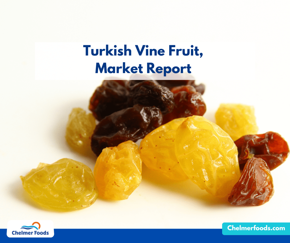 Turkish Vine Fruit,  Market Report
