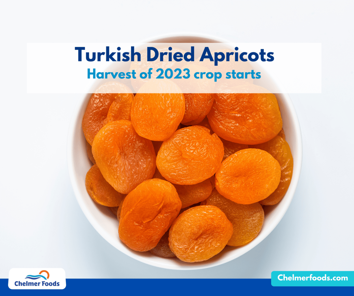 Turkish Apricot, Market Update 11/07/2023