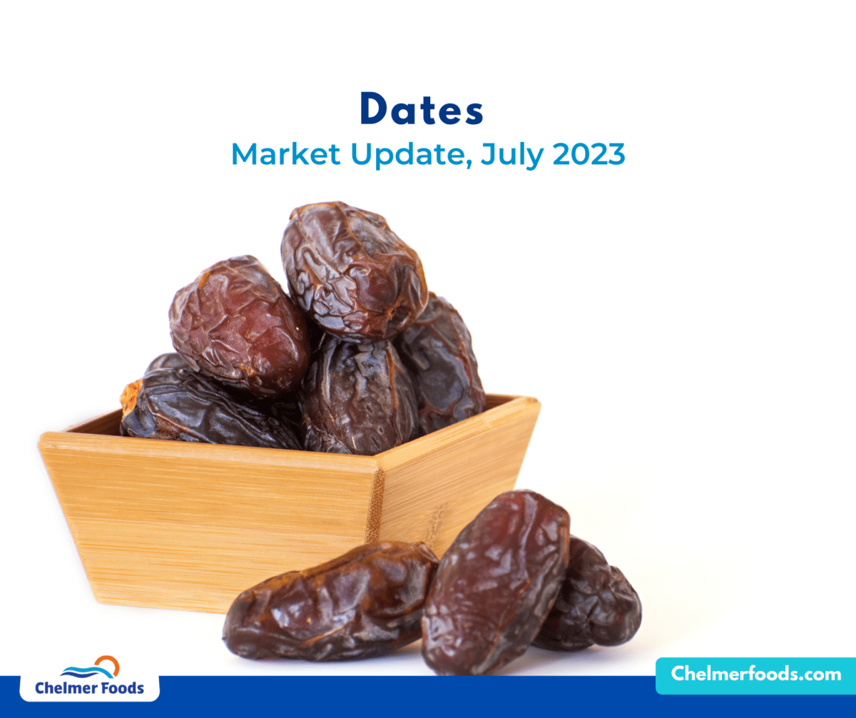 Dried Dates, Market Update, July 2023