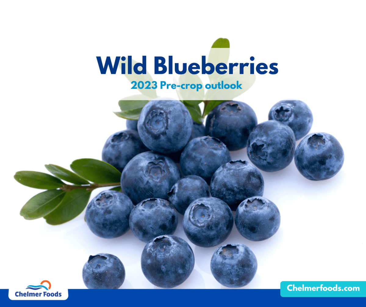 2023 Wild Blueberry Pre-crop Outlook