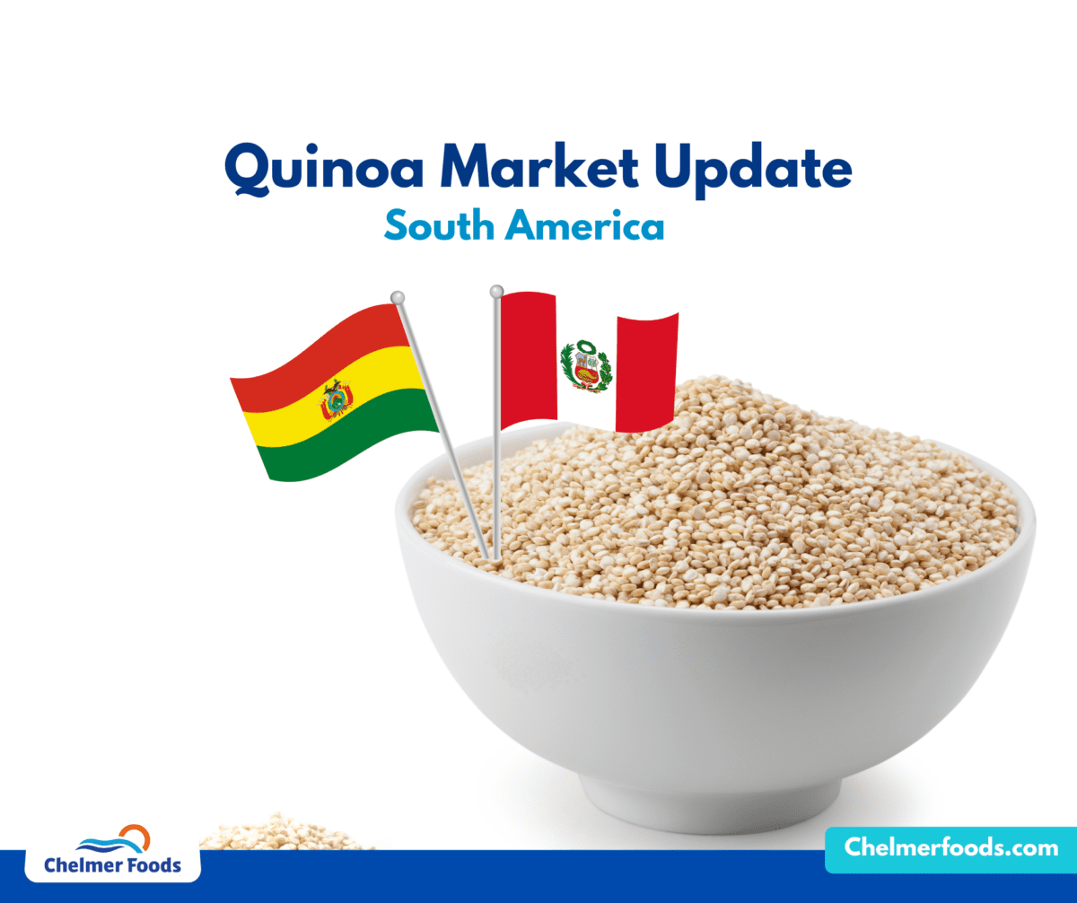 Quinoa Market Update, South America 2023
