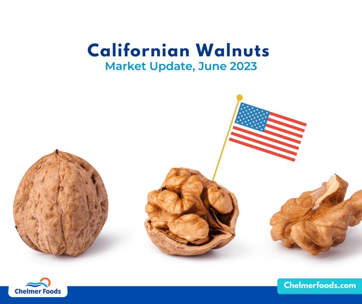 US Walnuts, Market Update