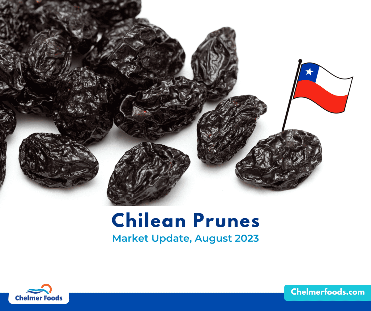 Chilean Prunes, Market Update, August 2023