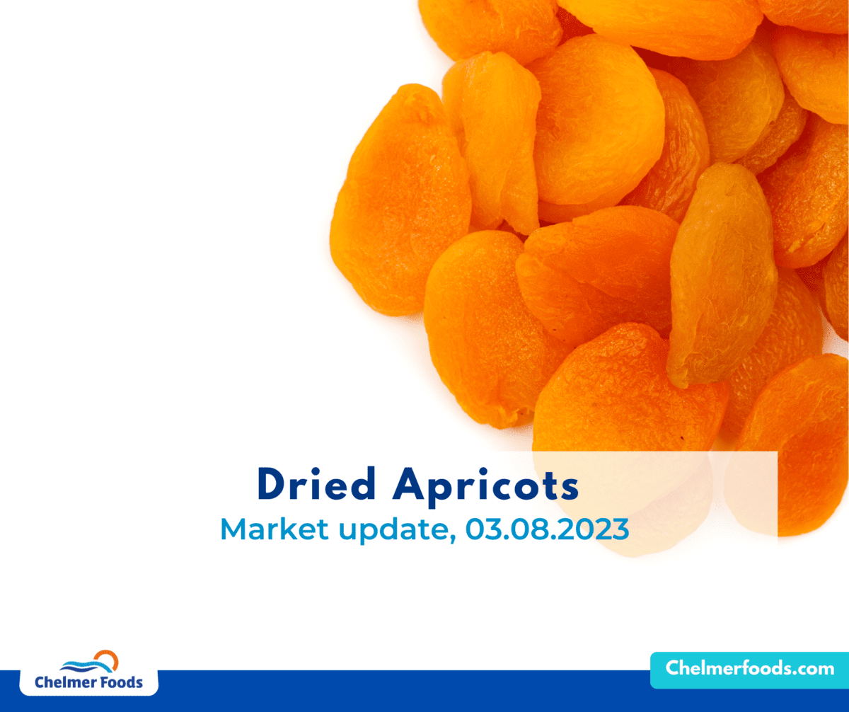 Dried apricots, Market Update 03.08.2023
