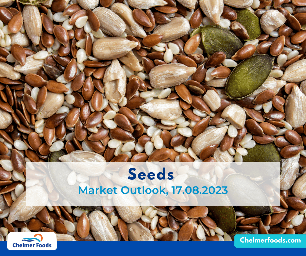 Seeds Market Outlook, August 2023