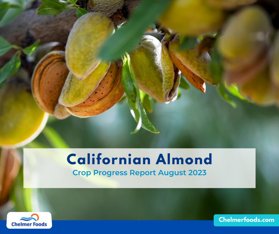 Californian Almond, Crop Progress Report August 2023