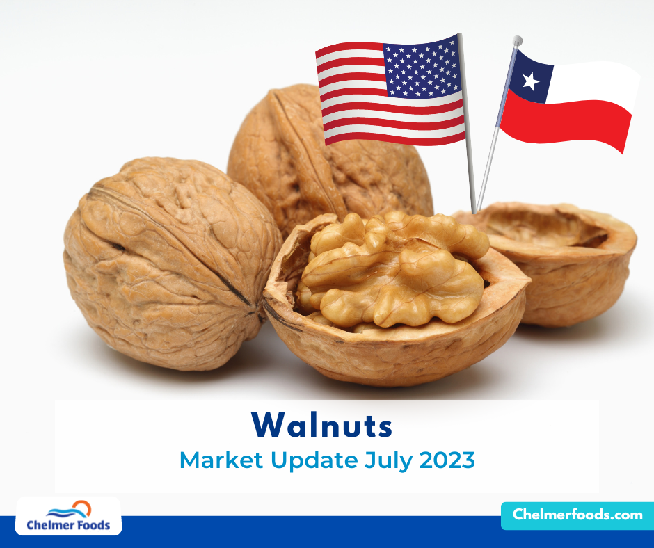 Walnuts, Market Report July 2023