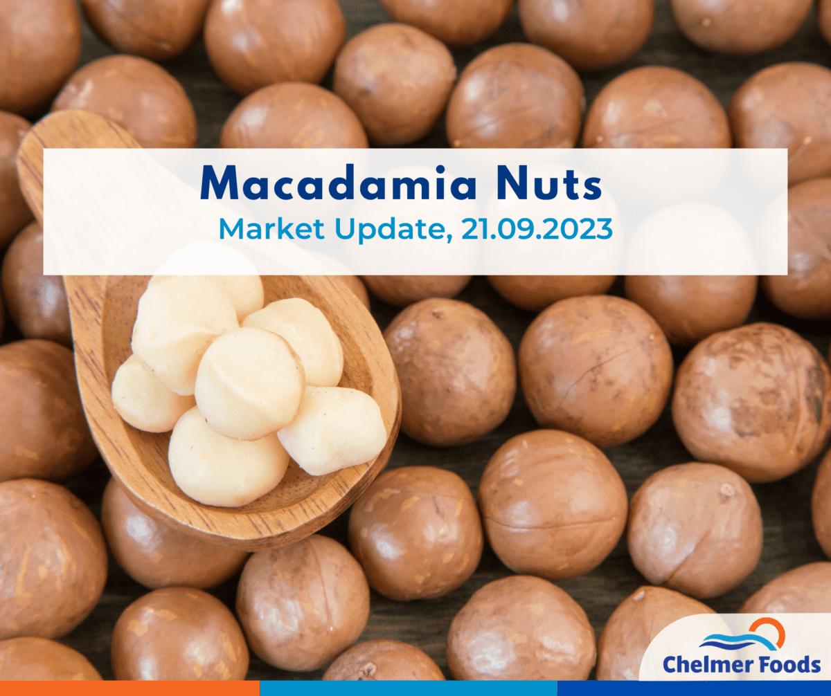 Macadamias Nuts, Market Update 21.09.2023