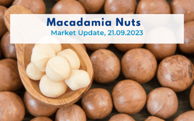 Macadamias Nuts, Market Update 21.09.2023