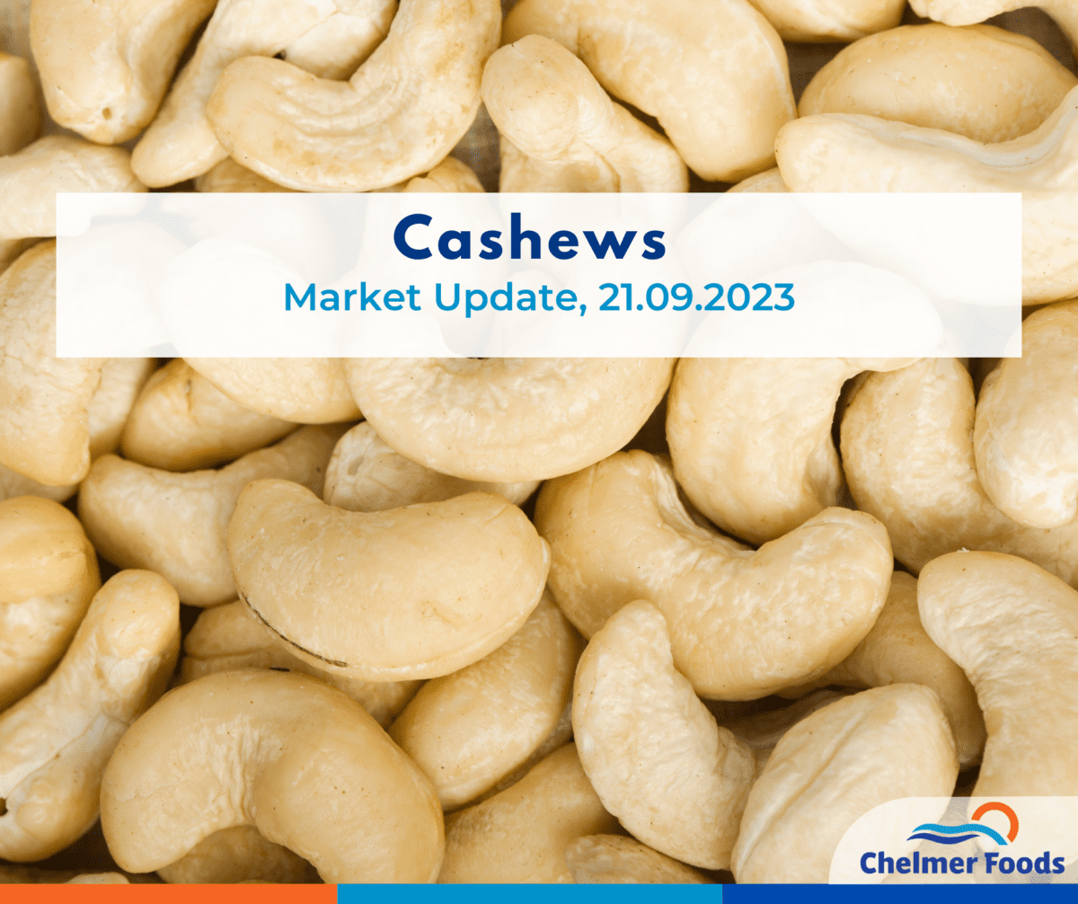 Cashew Market Update, 21.09.2023