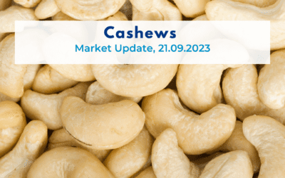 Cashew Market Update, 21.09.2023