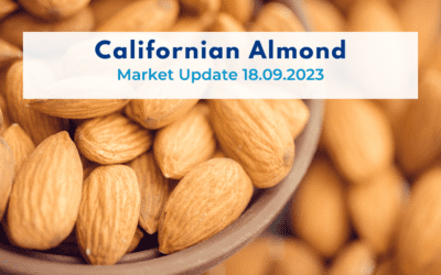 Californian Almonds, Market Update 19.09.2023