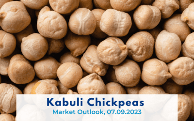 Kabuli Chickpeas, Marker Outlook, 07.09.2023