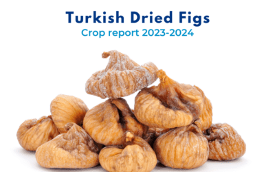 Turkish Dried Figs, Crop Report 2023-2024