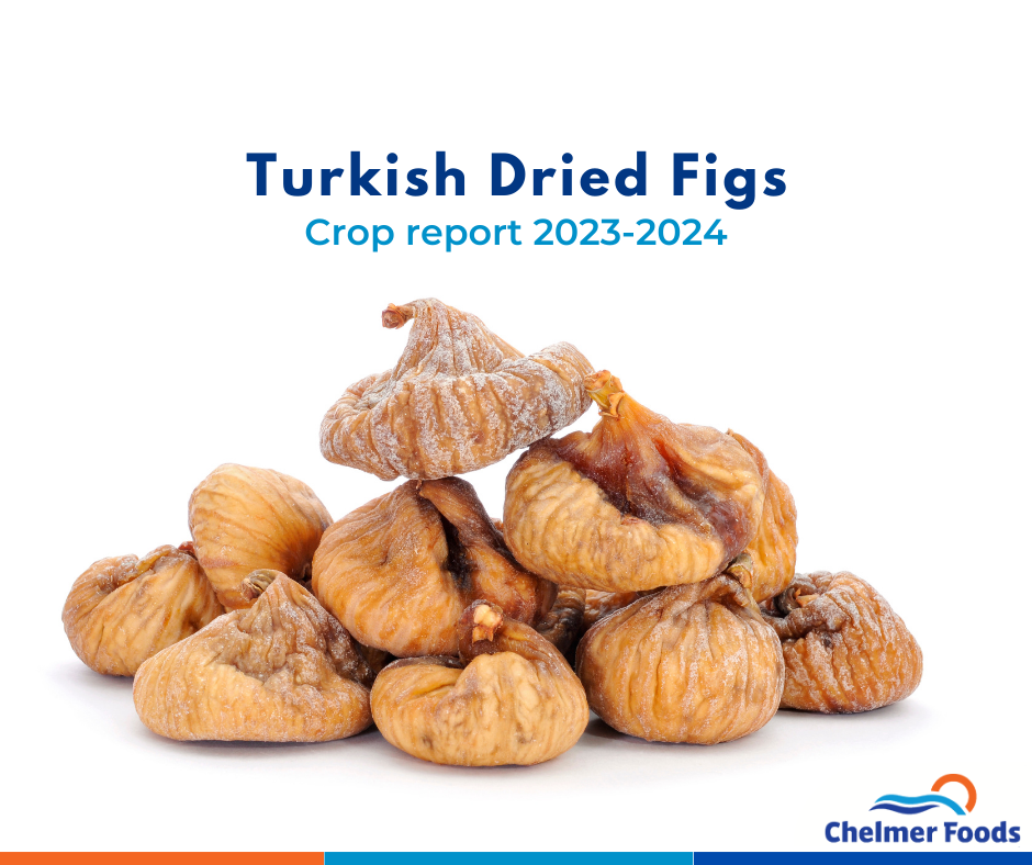 Turkish Dried Figs, Crop Report 2023-2024