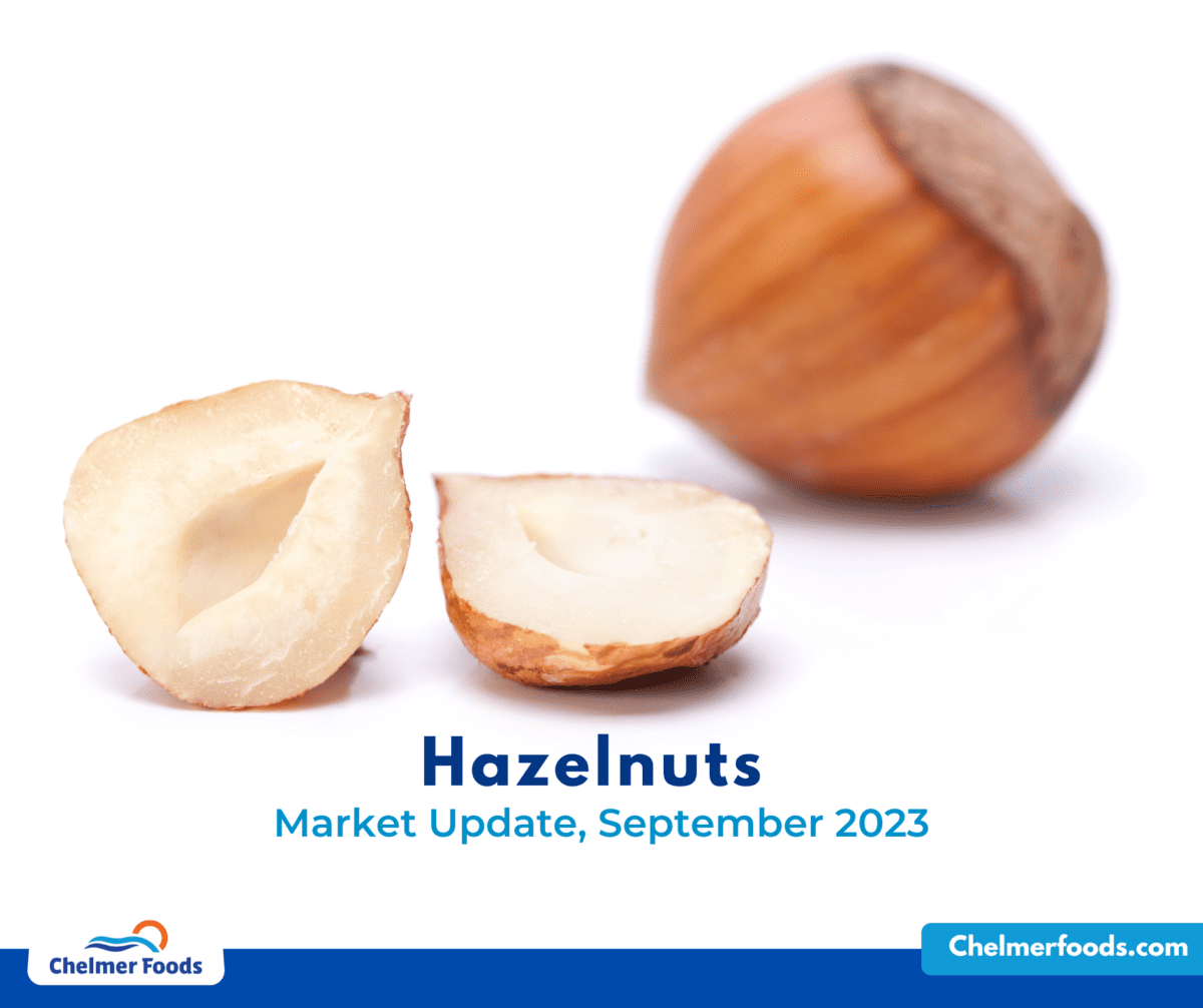Hazelnuts, Market Update