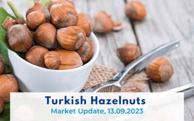 Turkish Hazelnut Market Update, 13.09.2023