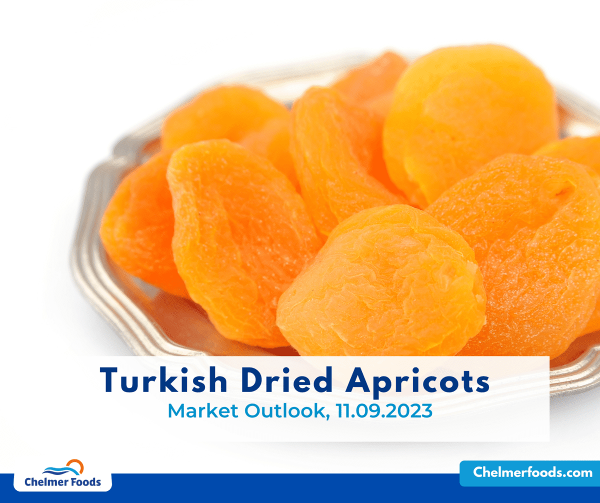 Turkish Apricot, Market Outlook 11.09.2023