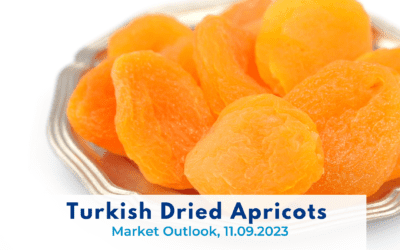 Turkish Apricot, Market Outlook 11.09.2023