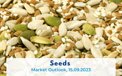 Seed Market outlook 15.09.2023