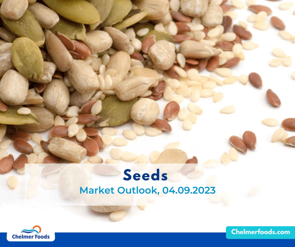 Chelmer Foods Seed Market outlook 04.09.2023
