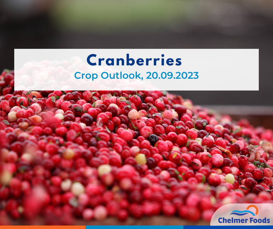 Cranberry Crop Outlook, 20.09.2023