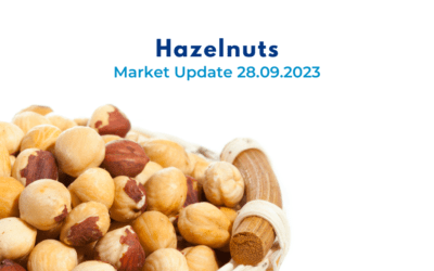 Turkish Hazelnuts, Market Update 28.09.2023