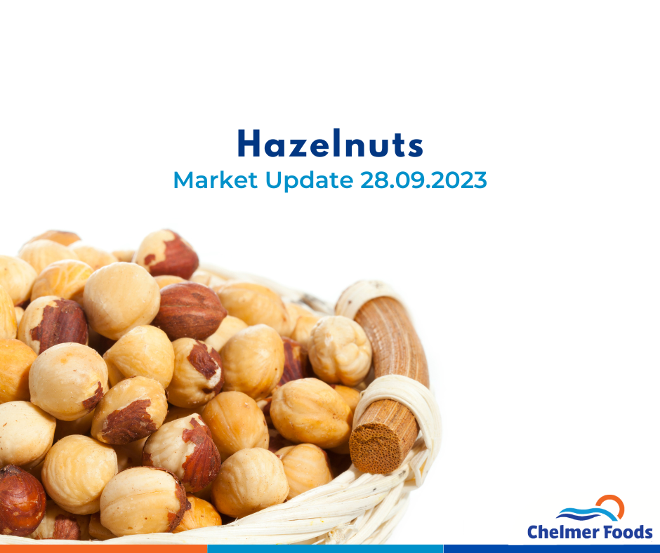 Turkish Hazelnuts, Market Update 28.09.2023