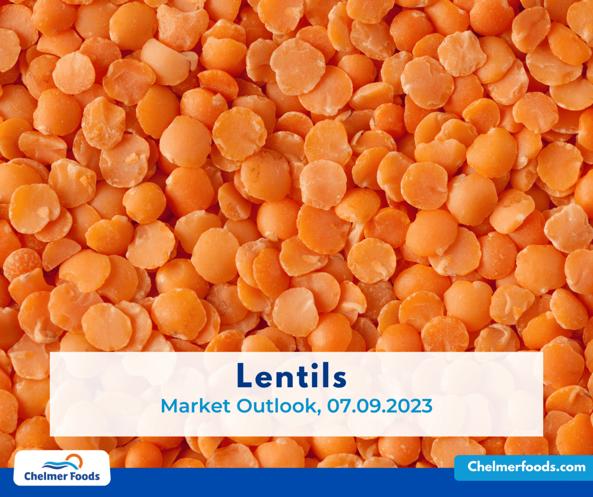Lentils, Market Outlook, 07.09.2023