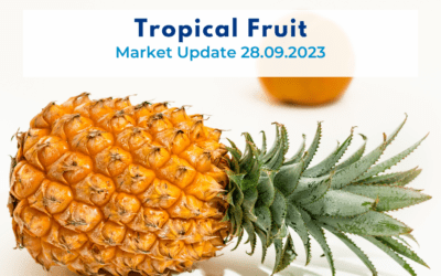 Tropical fruit, Thailand, Market Update