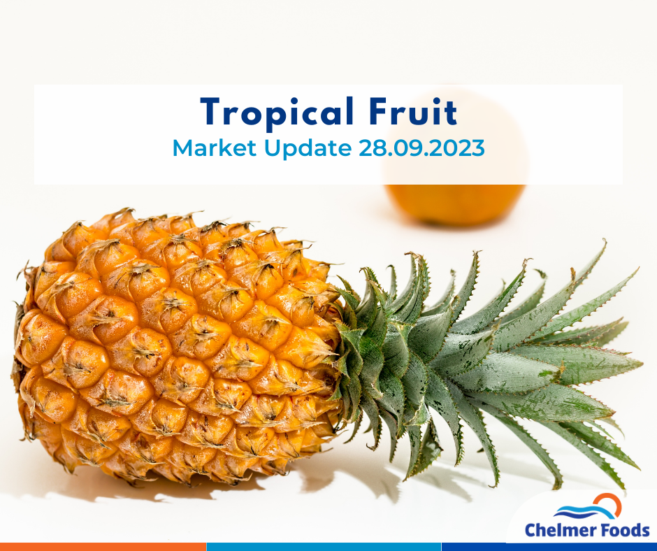 Tropical fruit, Thailand, Market Update