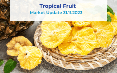 Tropical Fruit Market Update 31.10.23