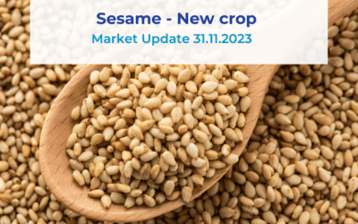 Sesame - New Crop Market Update 31.10.23