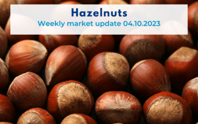 Hazelnuts, weekly market update 04.10.2023