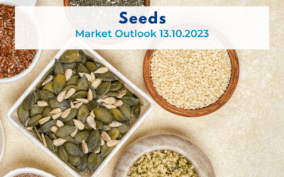 Seed Market Outlook 13.10.2023