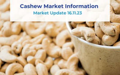 Cashew market information 16.11.23