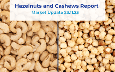 Hazelnuts and Cashews market report 23.11.23