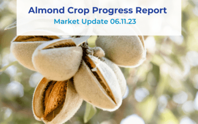 Almond Crop Progress Report 06.11.23