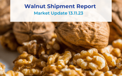 Walnut Shipment Report 13.11.23