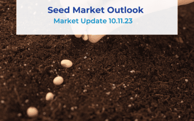 Seed Market Outlook 10.11.23