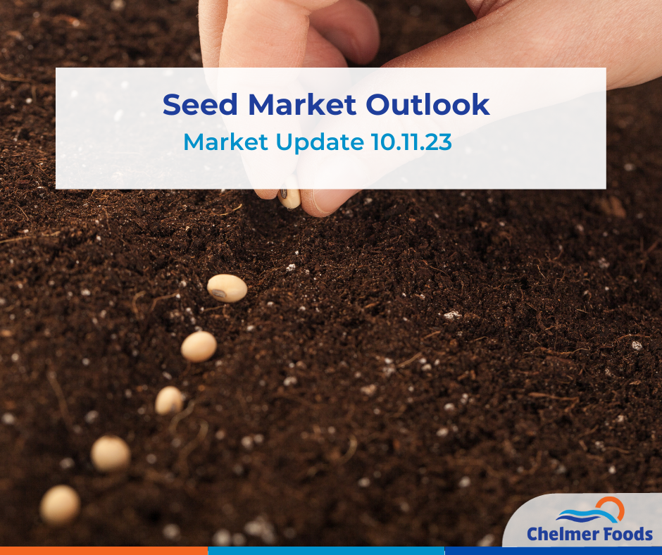 Seed Market Outlook 10.11.23