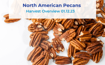 North American Pecan Overview 01.12.23